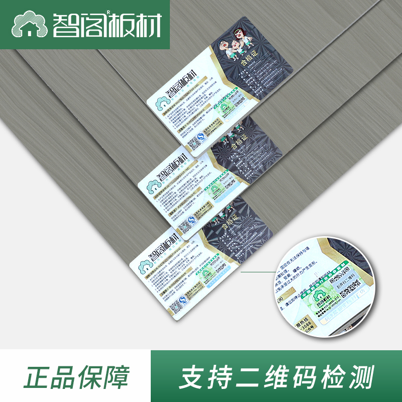 主图-定稿.jpg