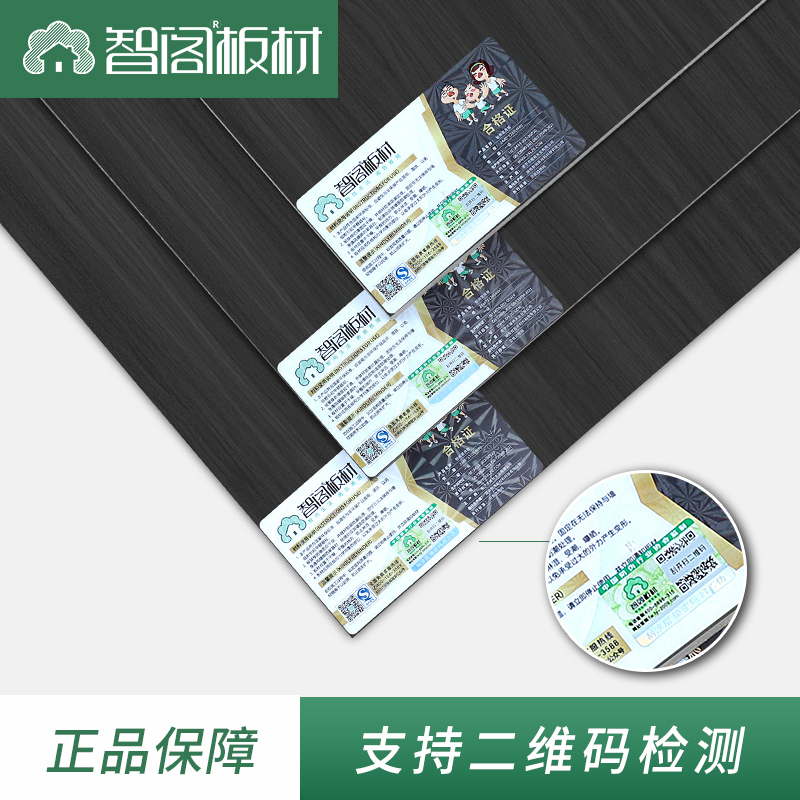 主图-定稿.jpg