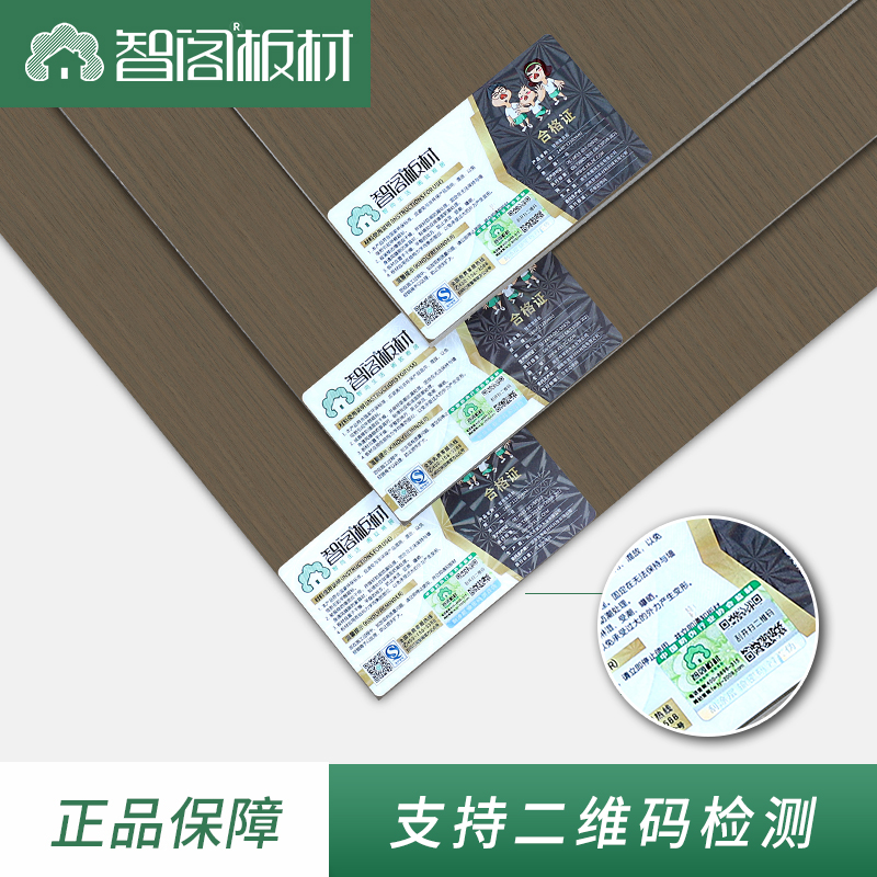 主图-定稿.jpg