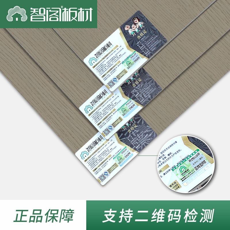 主图-定稿.jpg