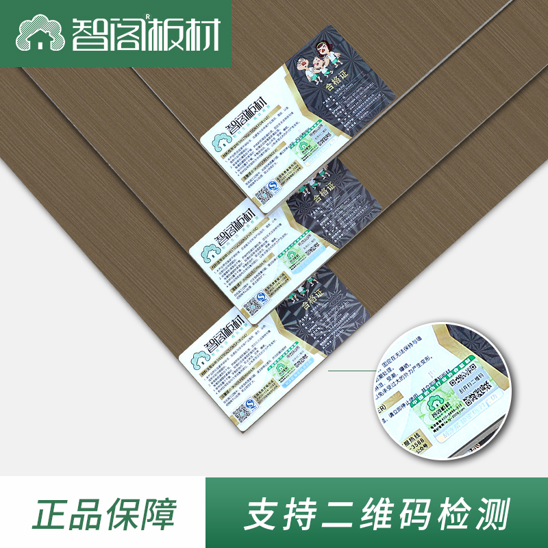 主图-定稿.jpg
