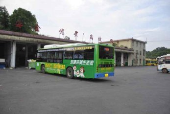 新西兰智阁板材强势登陆湖南营销中心各路公交车